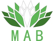MAB Digital Marketing Agency Logo