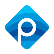 Panzi Digital Agency Logo