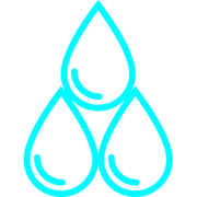 Roots Digital Media Logo