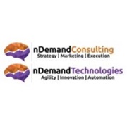 Ndemand Consulting, LLC Logo