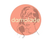 damolade consulting Logo