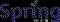 Spring Web Solutions Logo