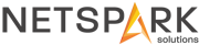 Net Spark Solutions Pvt. Ltd. Logo