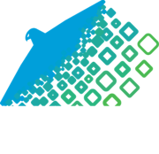 Peregrine InfoWorld Logo