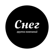 Group of digital companys «SNEG» Logo