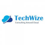 TechWize Logo