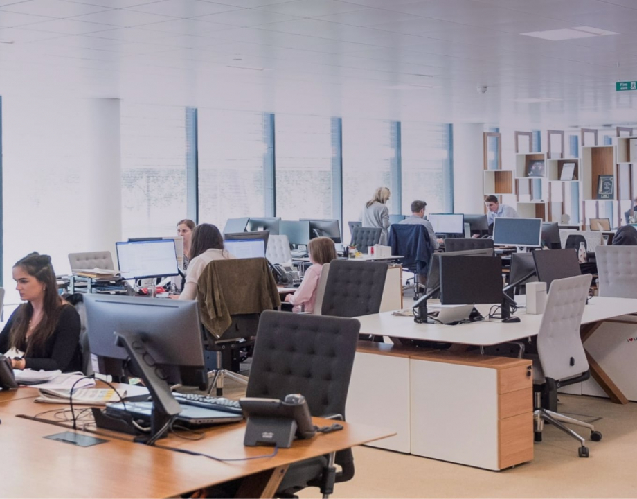 Sudolabs office