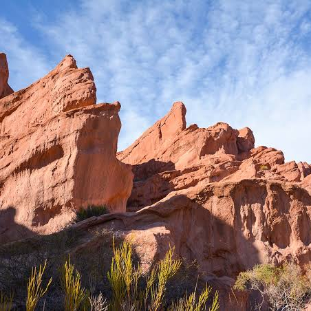 Salta Photo