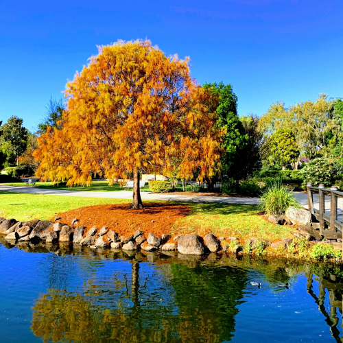 Benowa Photo
