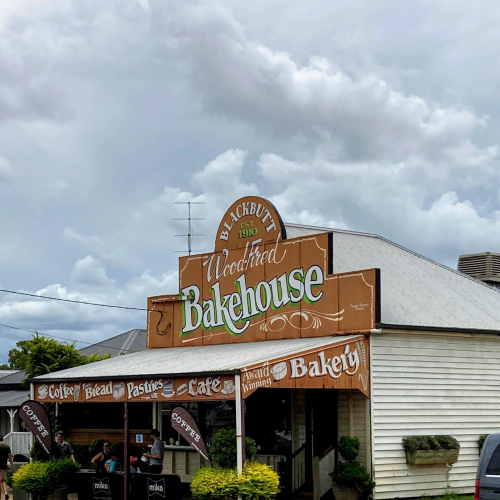 Blackbutt Photo