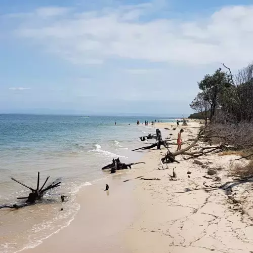 Bongaree Photo