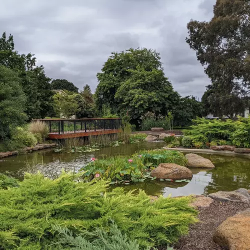 Camberwell Photo