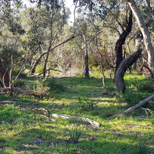 Dingley Village Photo
