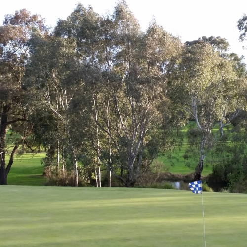 Ivanhoe Photo