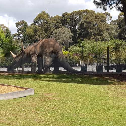 kew East Photo