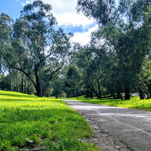 Mitcham Photo