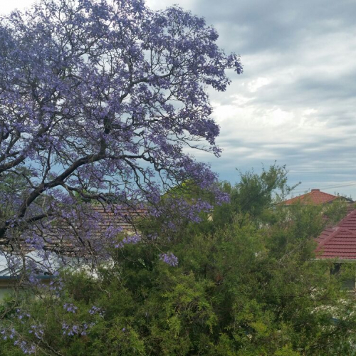 Moorabbin Photo