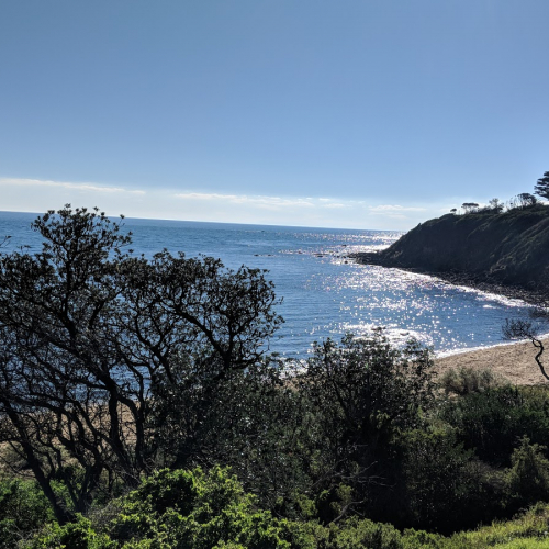 Mornington Photo