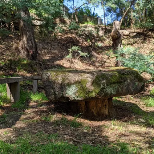 Mount Waverley Photo