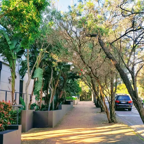 Naremburn Photo