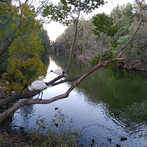 Rockdale Photo
