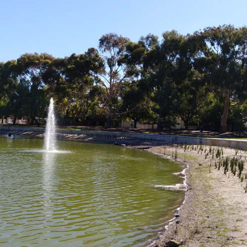 Shenton Park Photo