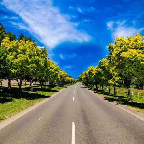 Wallan Photo