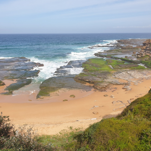 Warriewood Photo