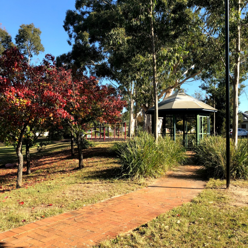 Wattle Grove Photo