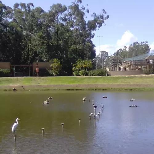 Canoas Photo