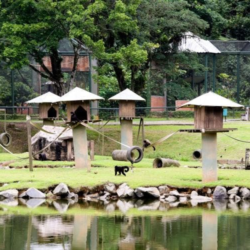 Joinville Photo