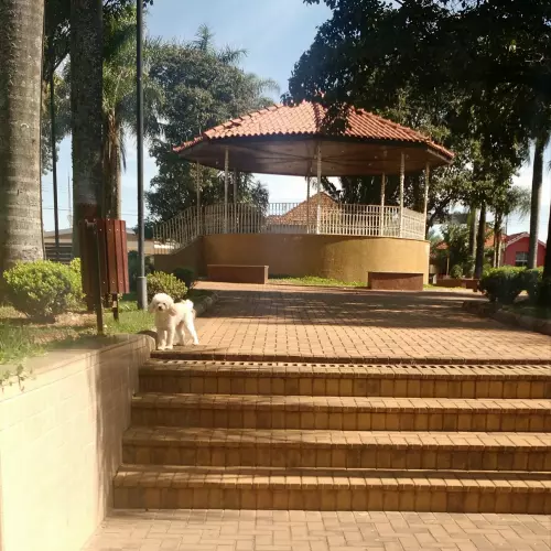 Paraíso Photo