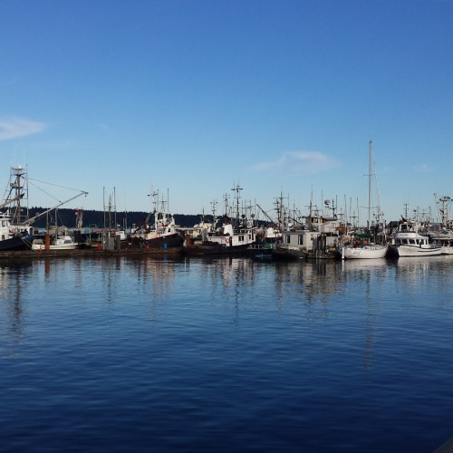 Campbell River Photo