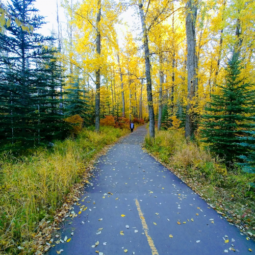 Cochrane Photo