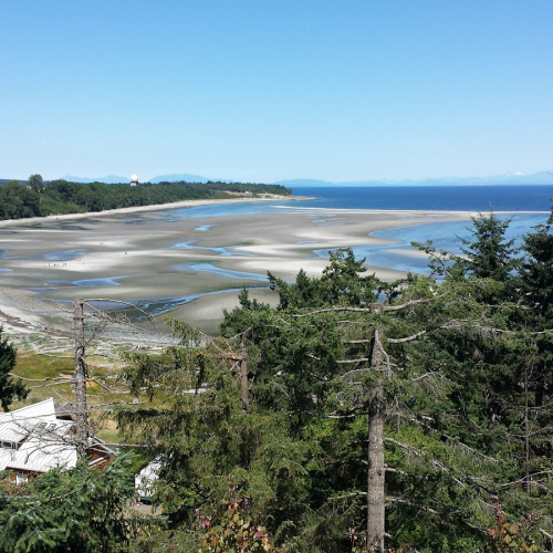 Courtenay Photo