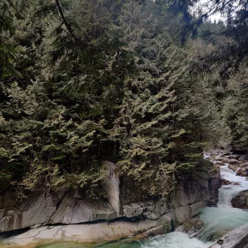 Maple Ridge Photo