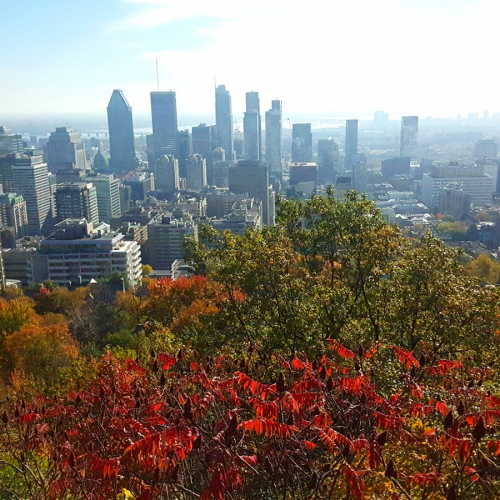 Mount-Royal Photo