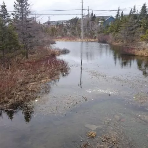 Mt. Pearl Photo