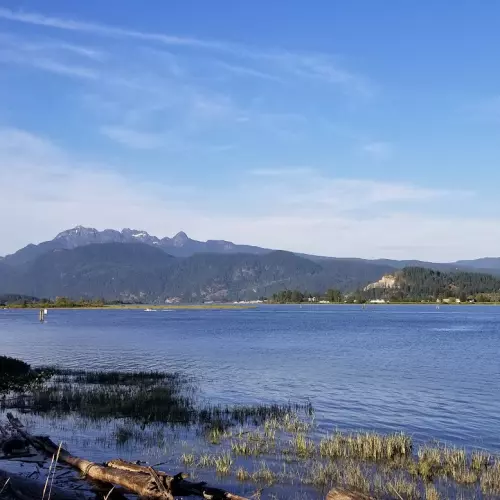 Port Coquitlam Photo