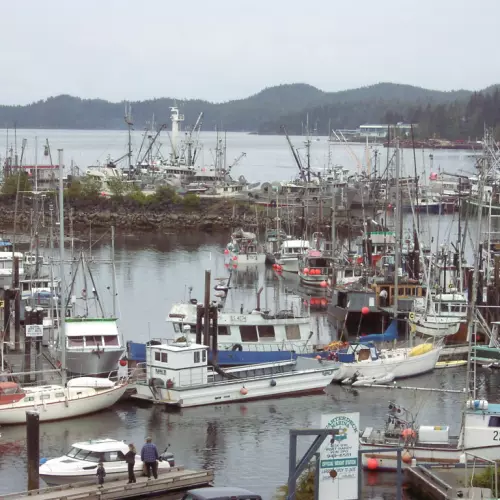 Port Hardy Photo