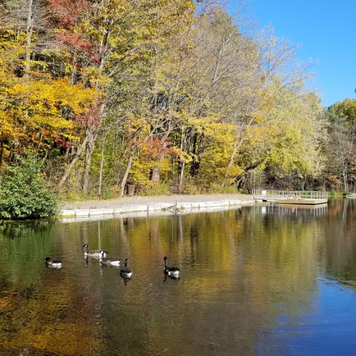 Thorold Photo