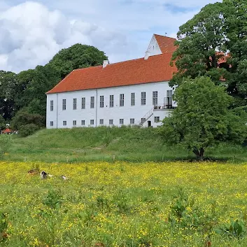 Højslev Photo
