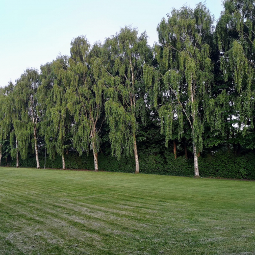Klarup Photo