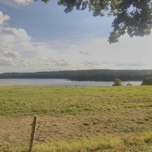 Randers NV Photo