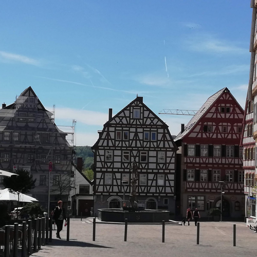 Leonberg Photo