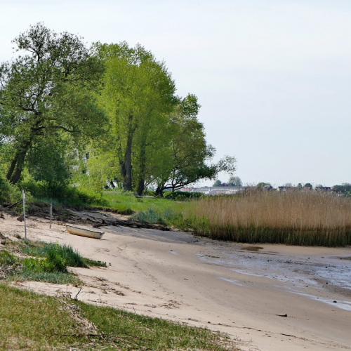 SCHWANEWEDE Photo