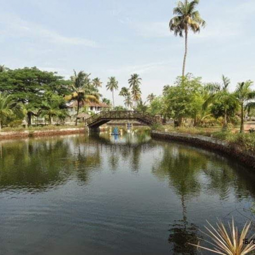 Aluva Photo