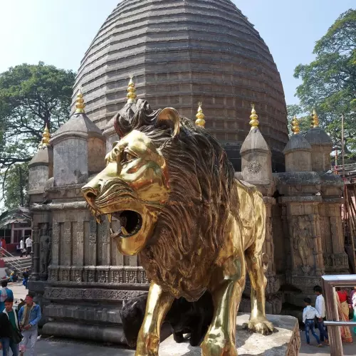 Assam Photo