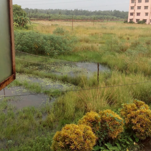 Barbigha Photo