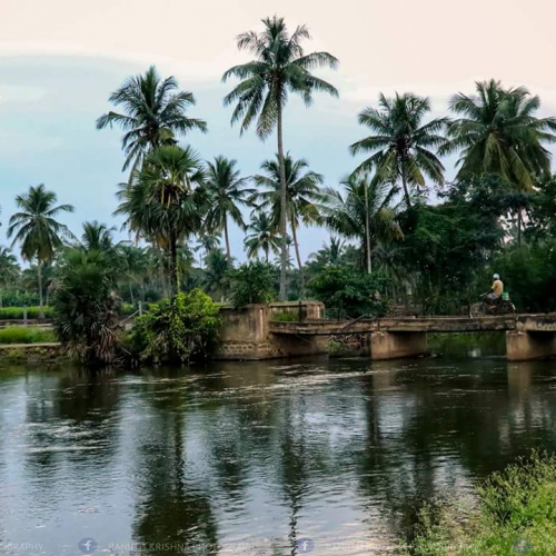 Gobichettipalayam Photo